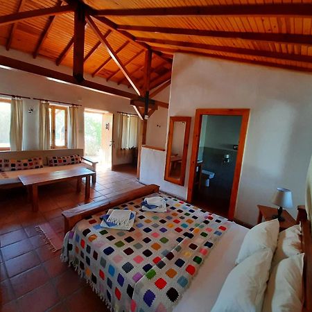 Ionia Guest House 艾登 外观 照片