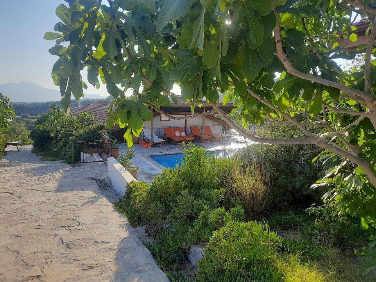 Ionia Guest House 艾登 外观 照片