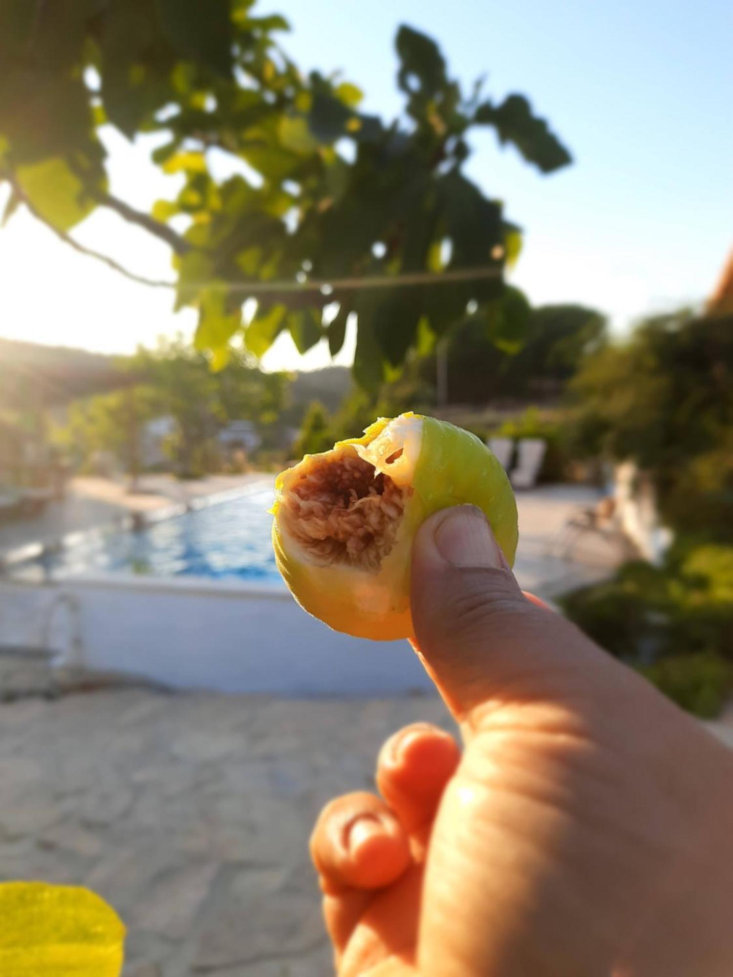 Ionia Guest House 艾登 外观 照片