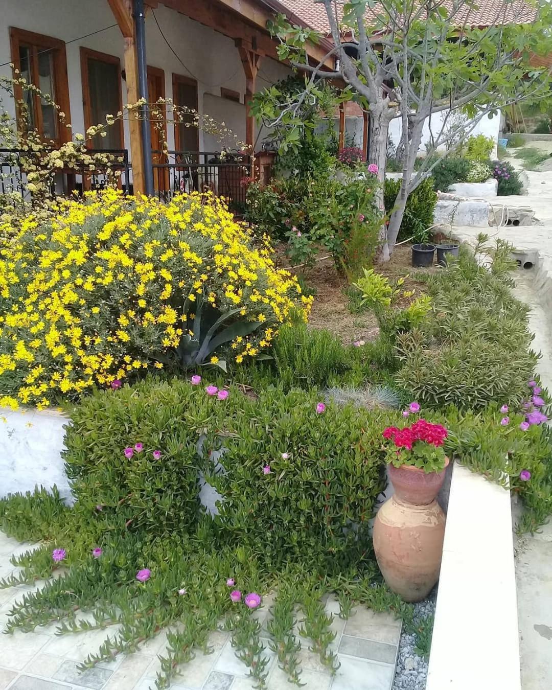 Ionia Guest House 艾登 外观 照片