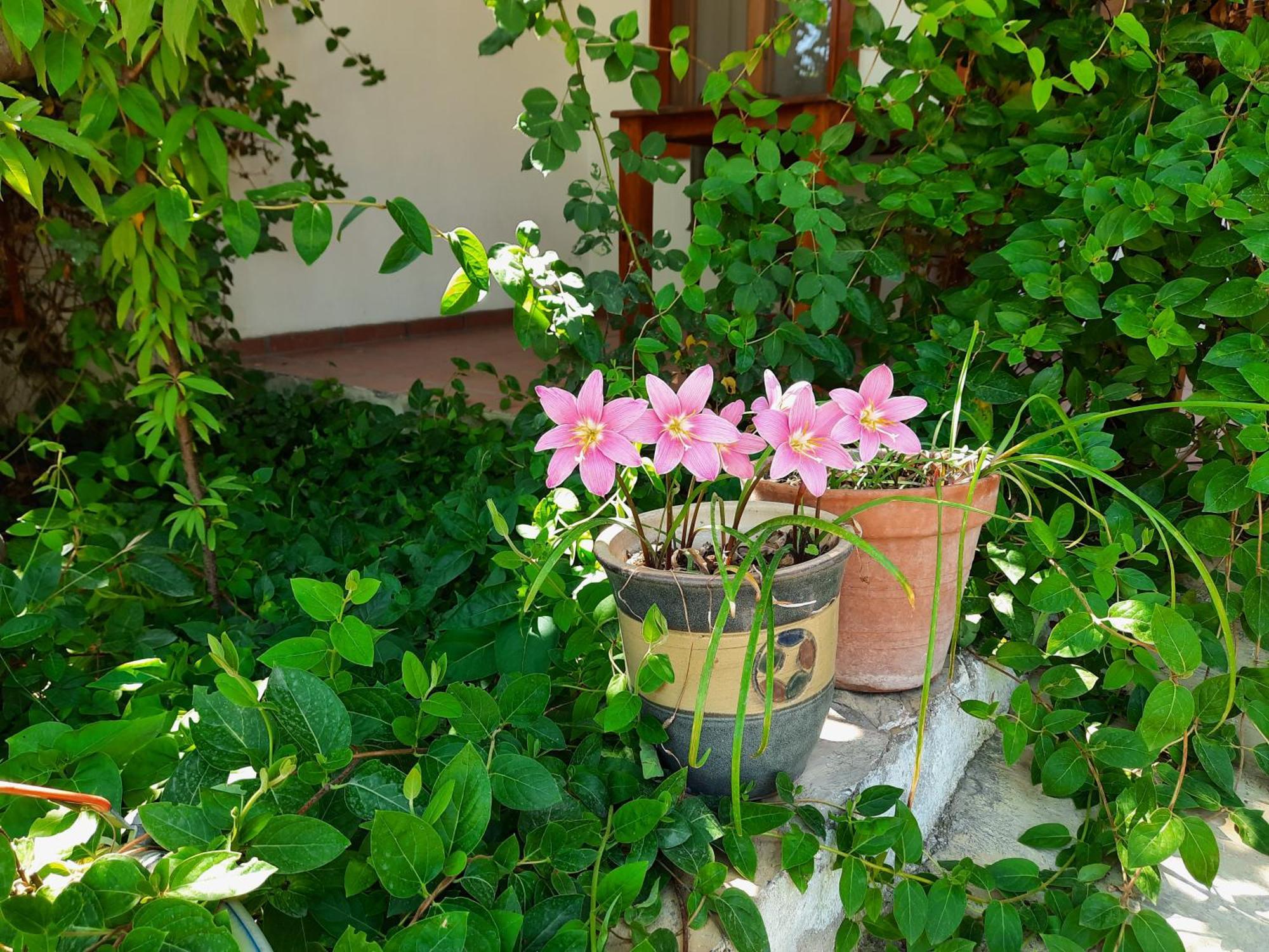 Ionia Guest House 艾登 外观 照片