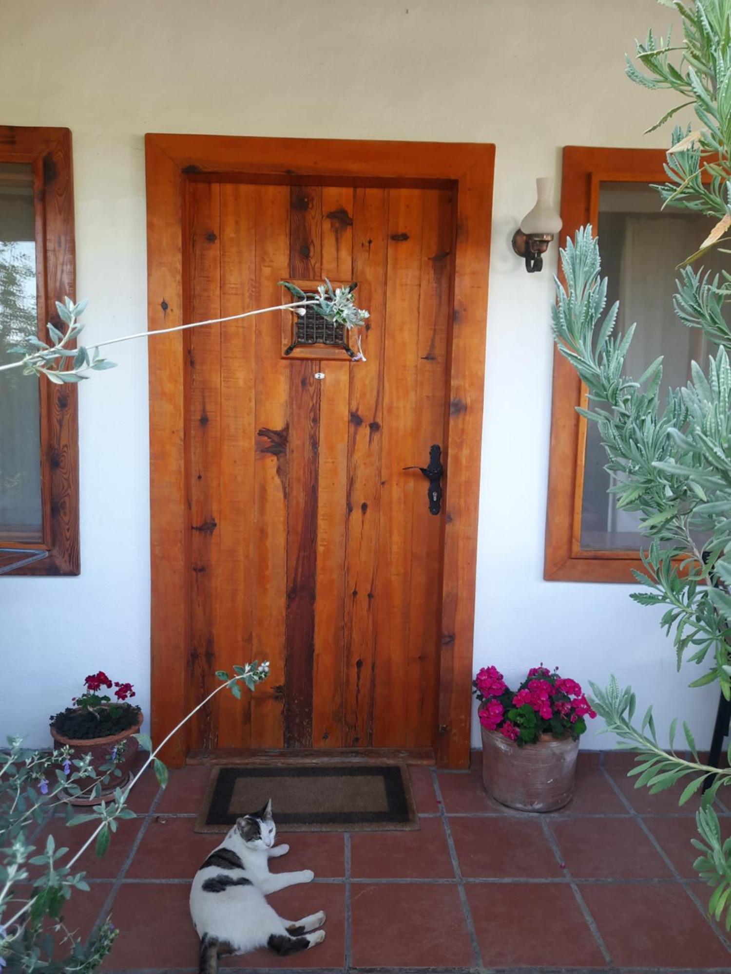 Ionia Guest House 艾登 外观 照片
