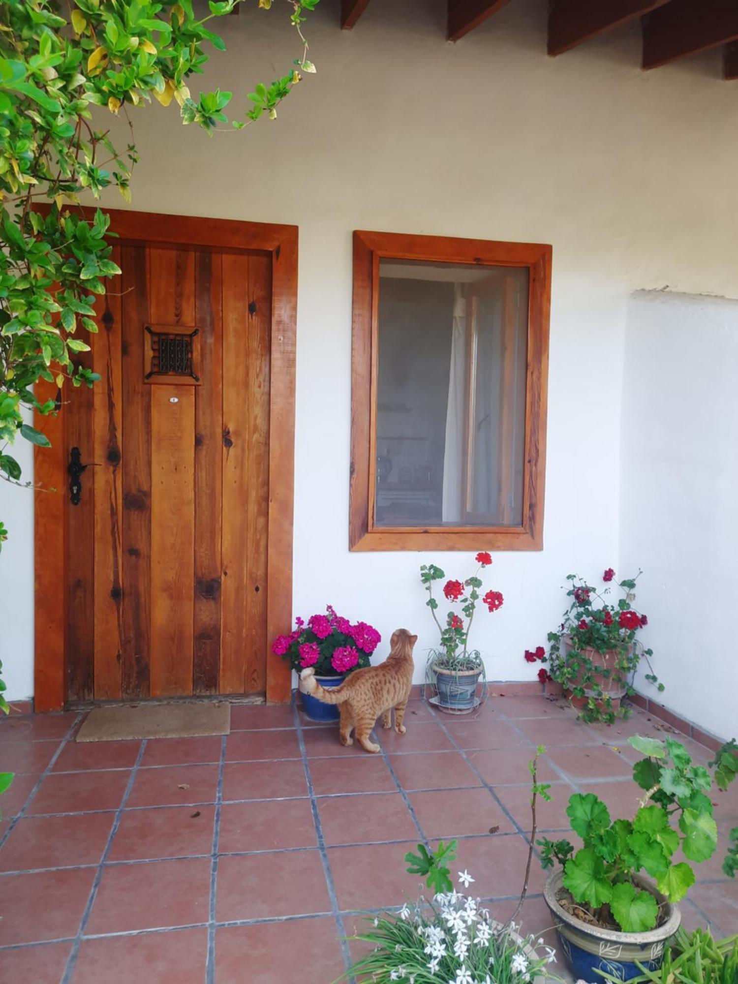 Ionia Guest House 艾登 外观 照片