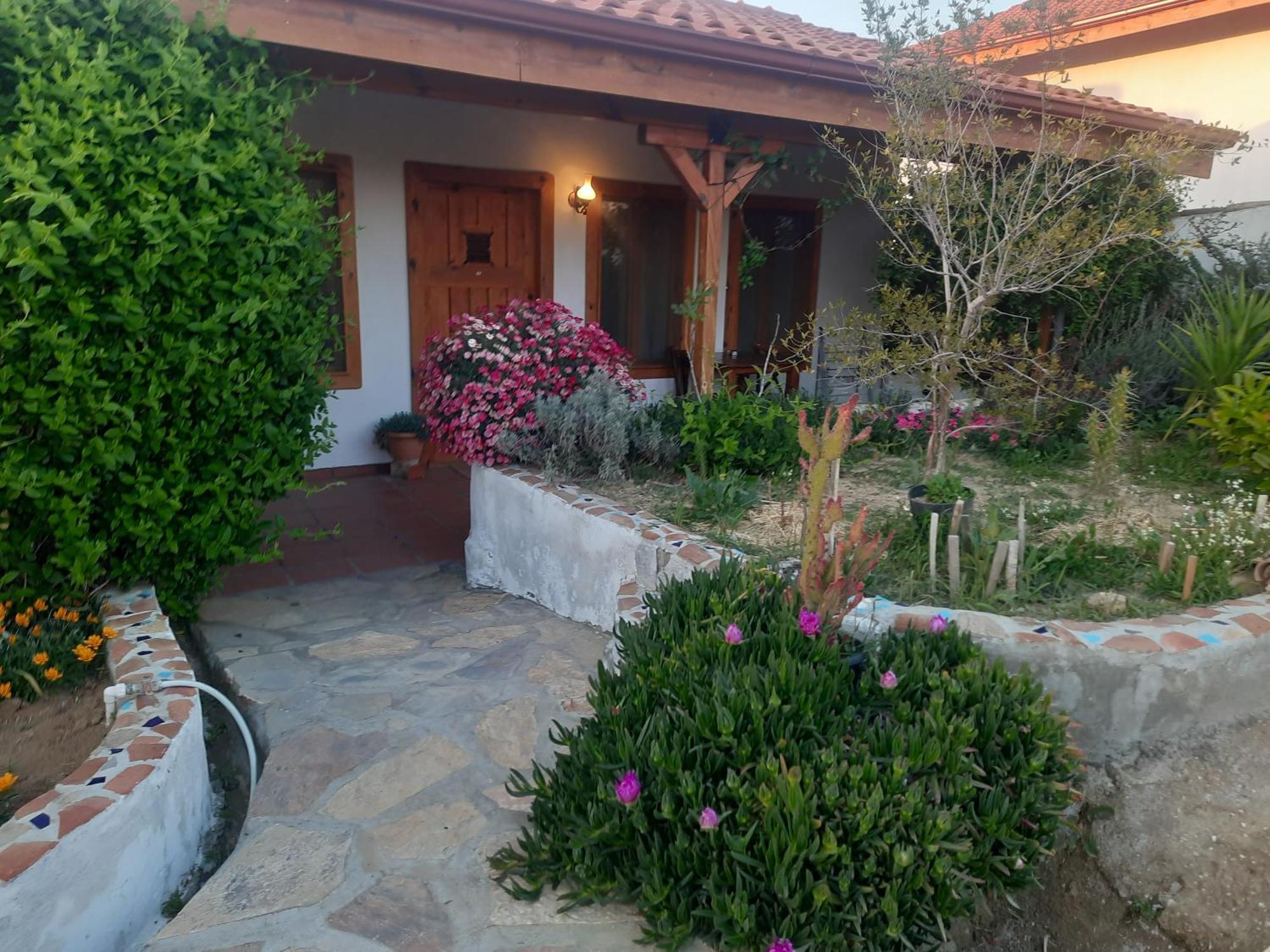 Ionia Guest House 艾登 外观 照片