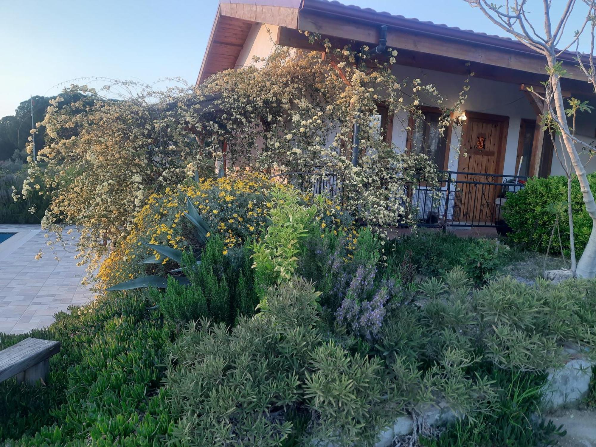 Ionia Guest House 艾登 外观 照片
