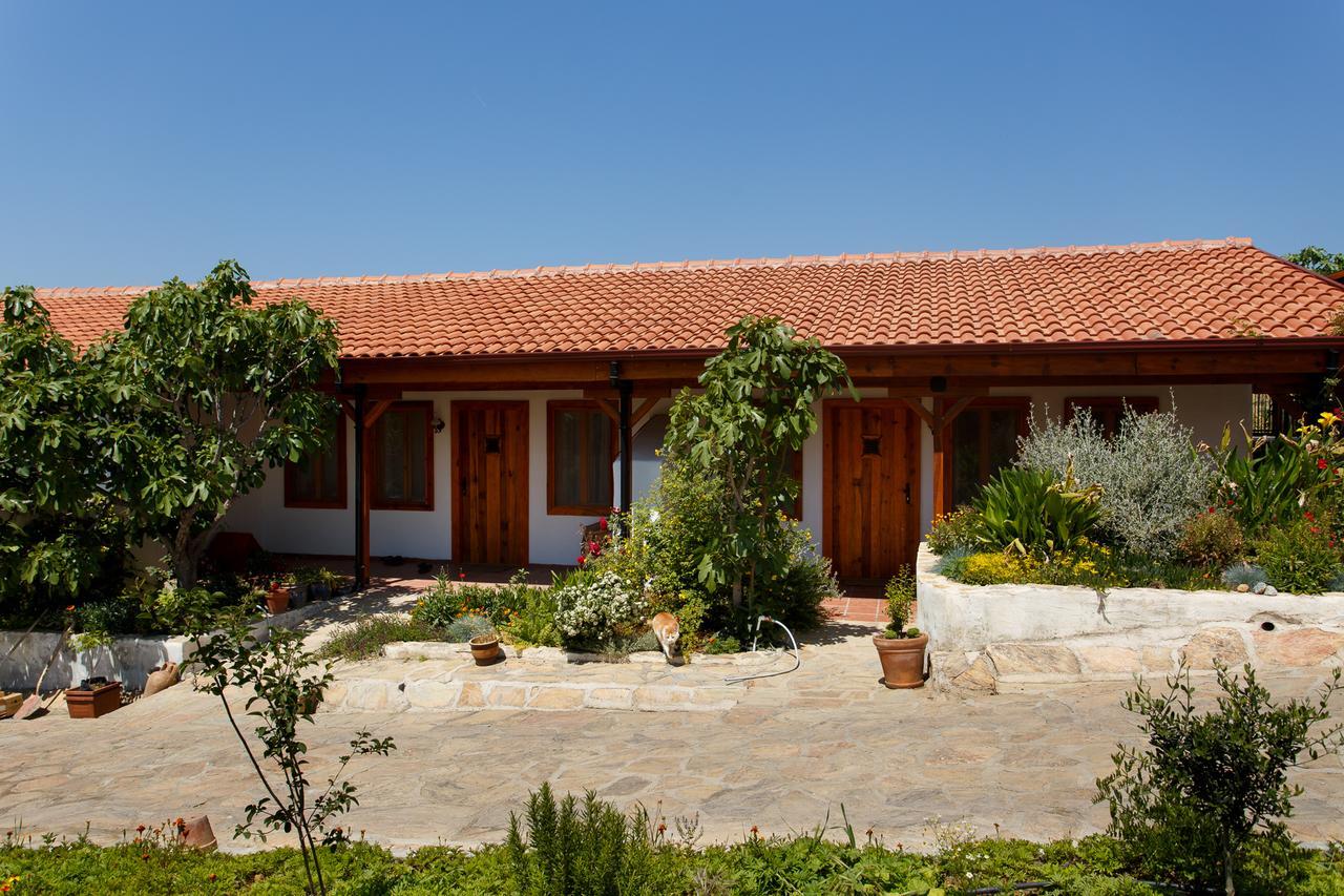 Ionia Guest House 艾登 外观 照片